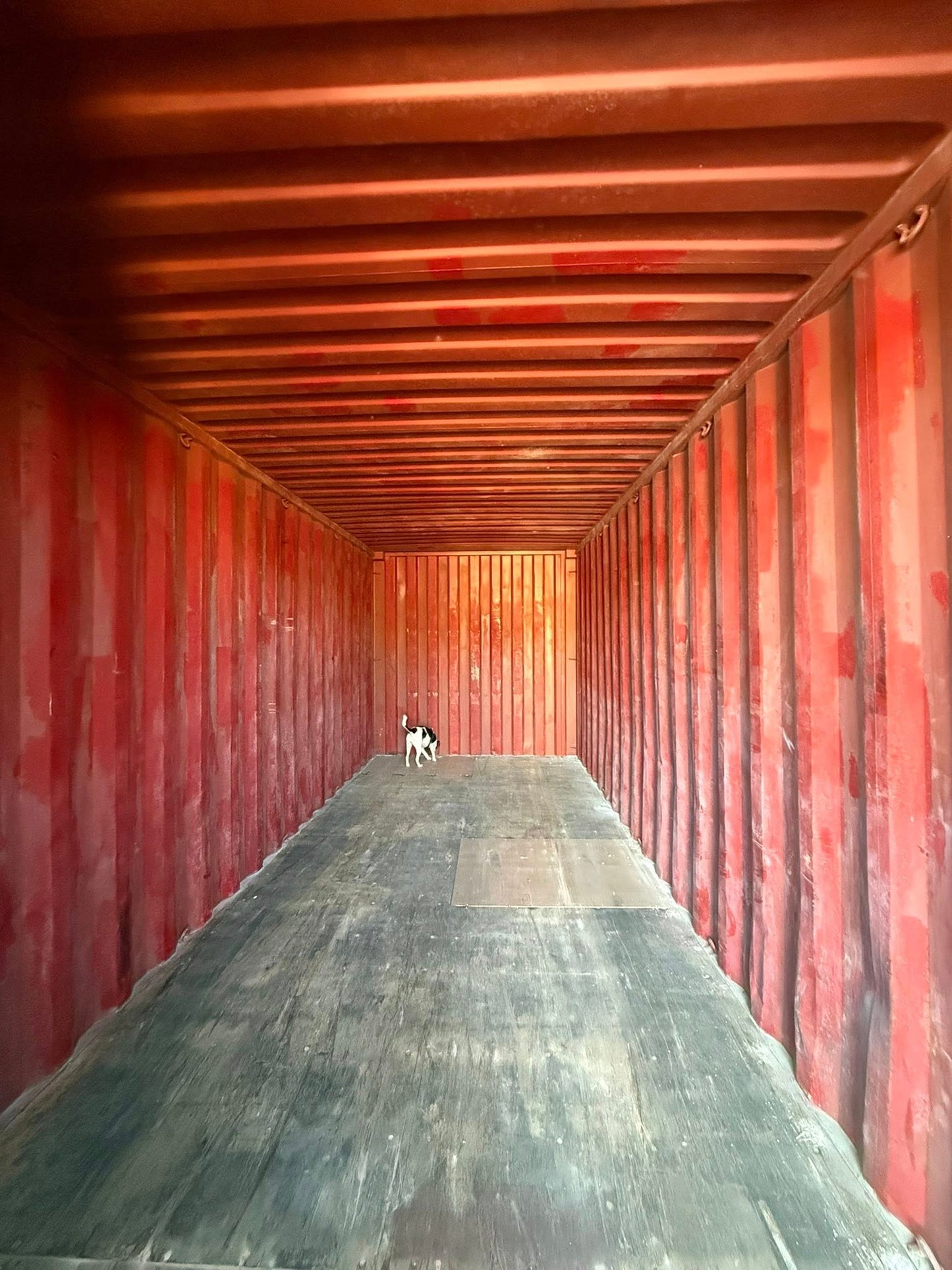 Sødygtig 20 fods container