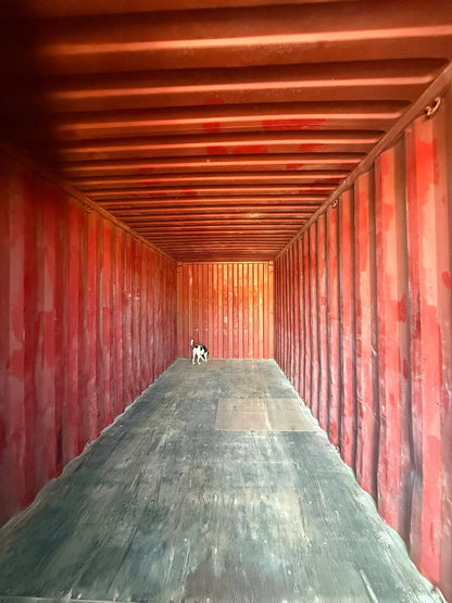 Sødygtig 20 fods container
