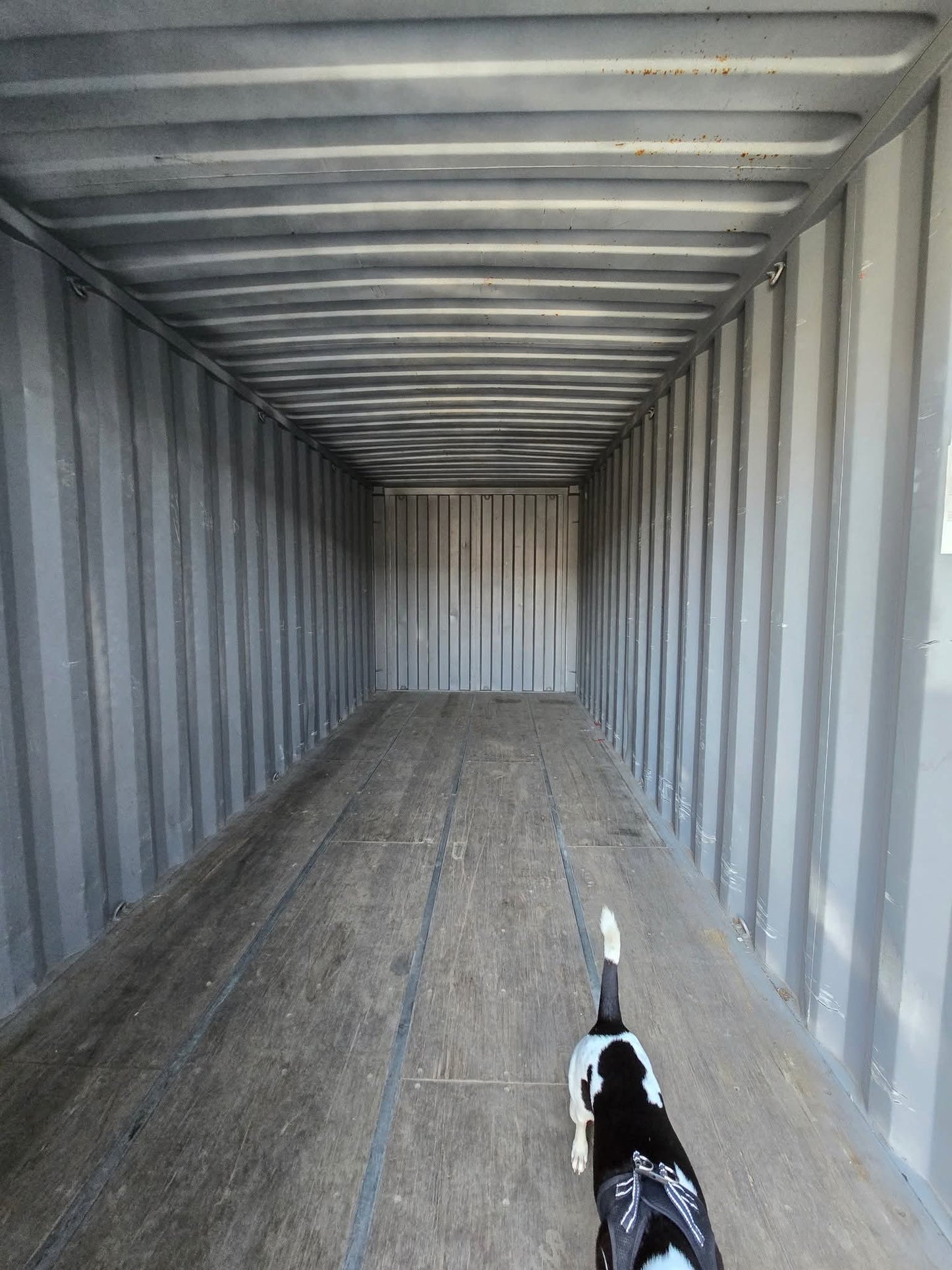 Sødygtig 20 fods container